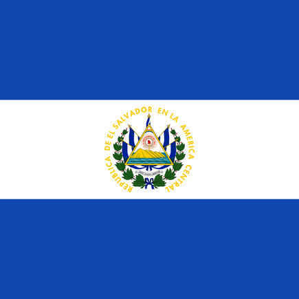 Salvador Logo